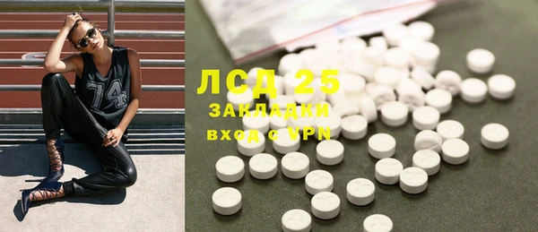 прущие грибы Алексеевка