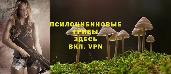 прущие грибы Алексеевка