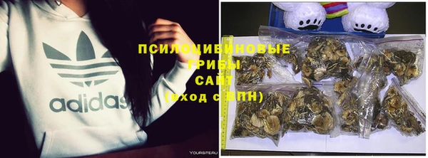 кристаллы Ельня