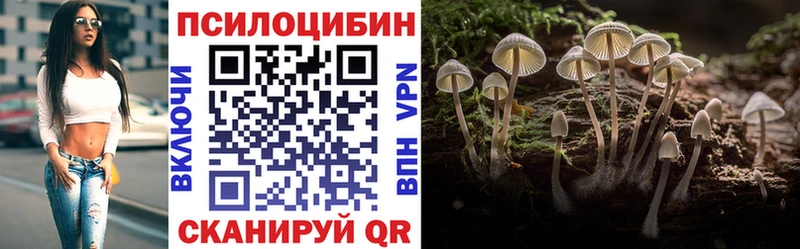 где продают наркотики  Ветлуга  Псилоцибиновые грибы Psilocybe 